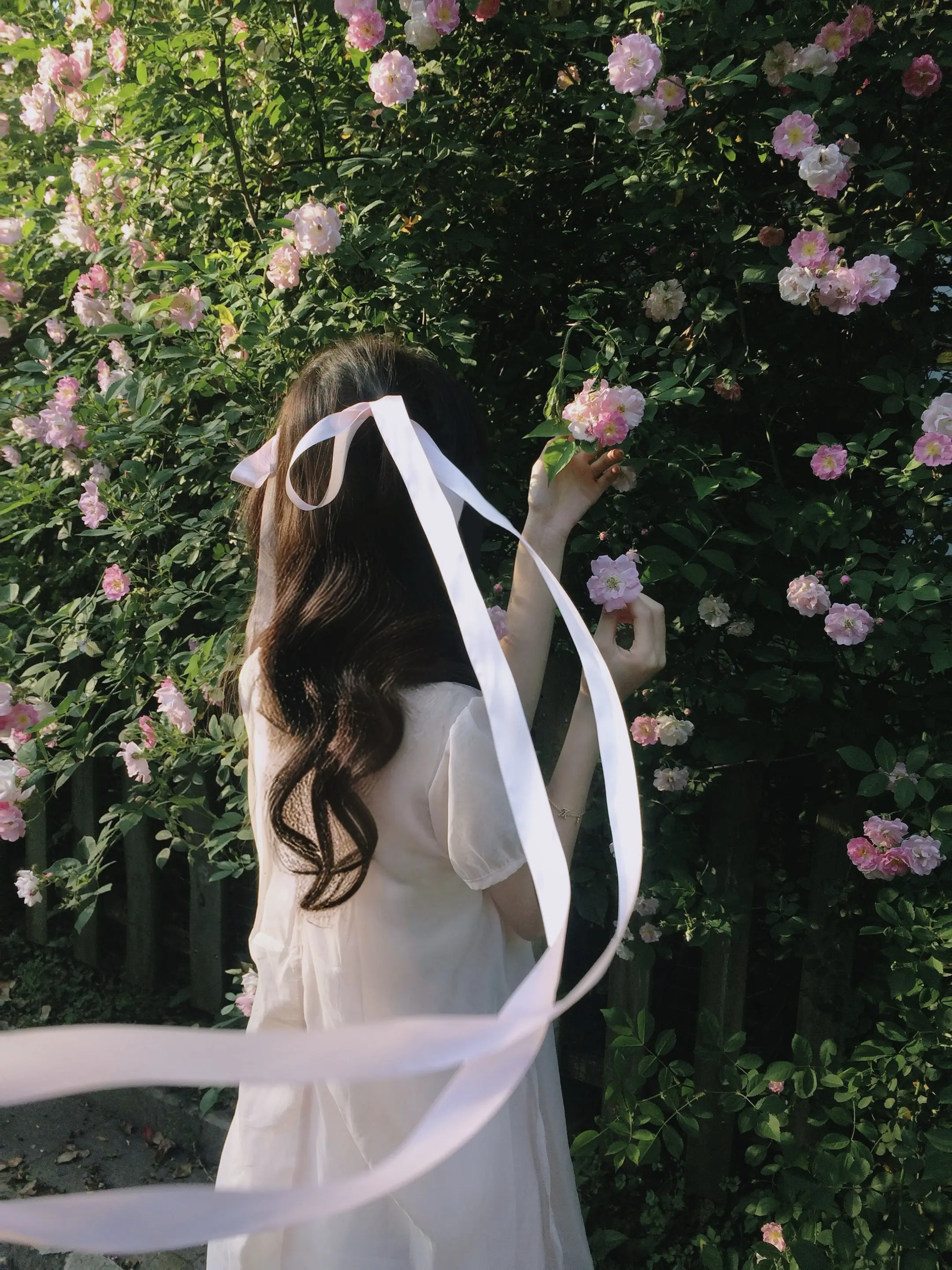 有时候往天上一看 和17岁好像没什么差别 于是我一直看着天 不想看这个世界