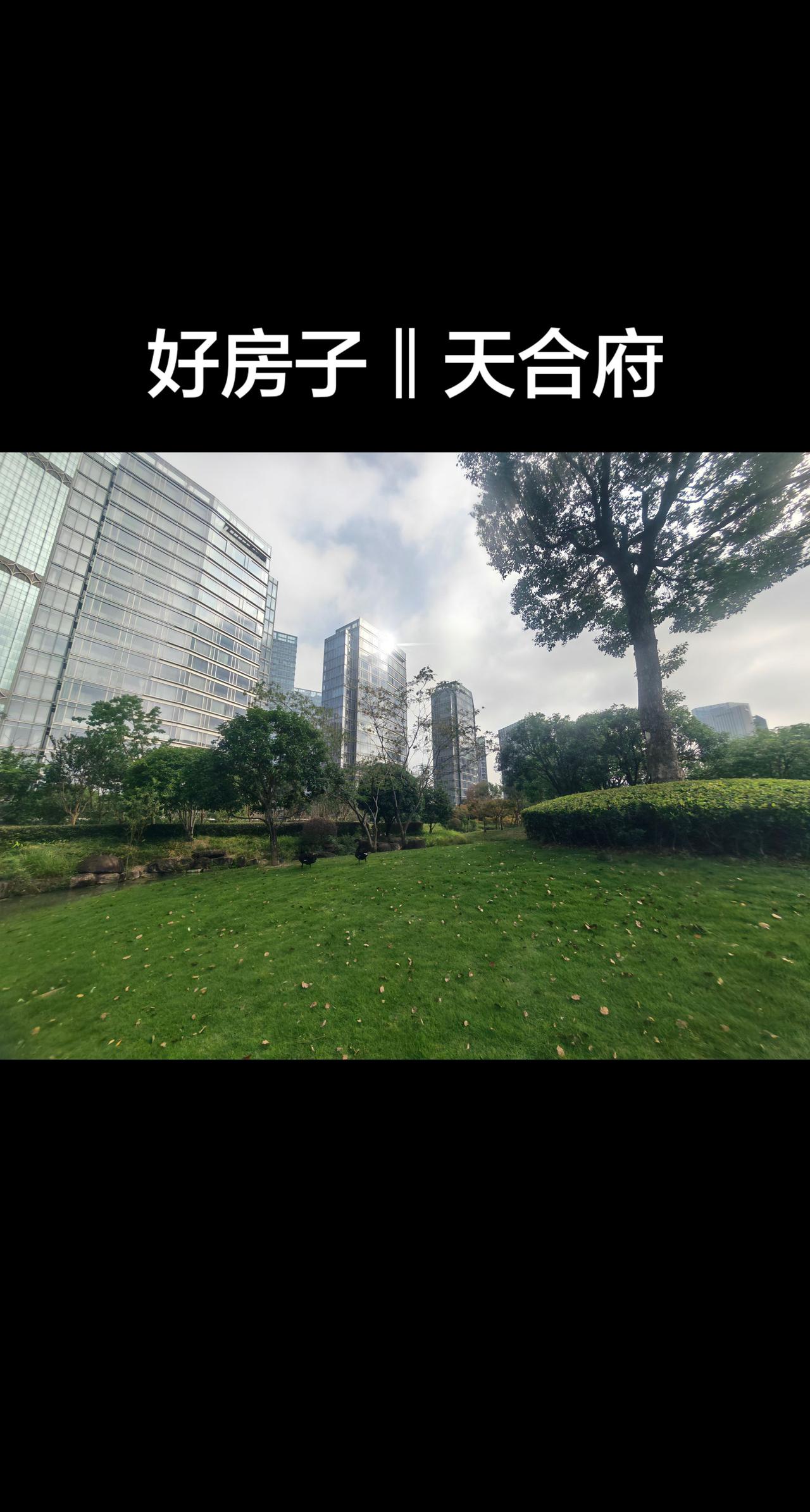台州市府核心区最好的房子在哪？创作者中心 创作灵感 一大早，带娃看房子。台州跟杭