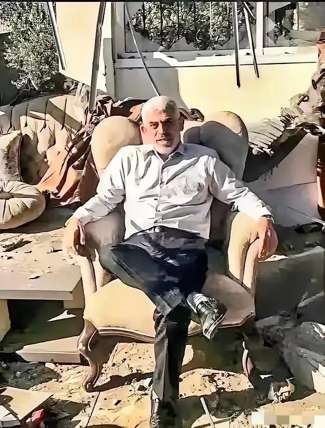 据说这个就是哈马斯新领导人辛瓦尔。
        感觉他有点孤独寂寞冷了。