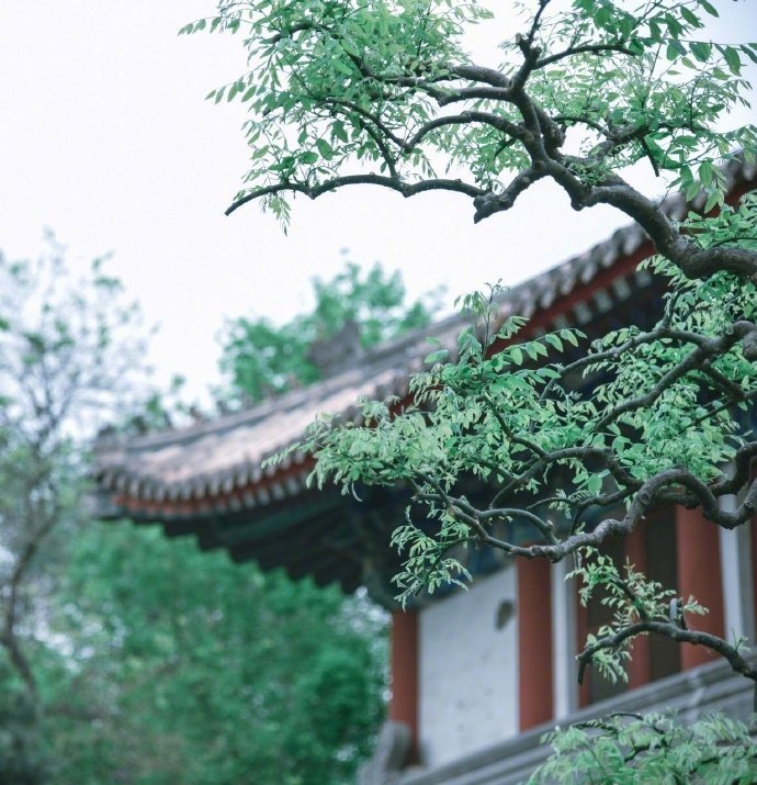 “今天飞花令｜主题【度、关】古诗词    ”                  