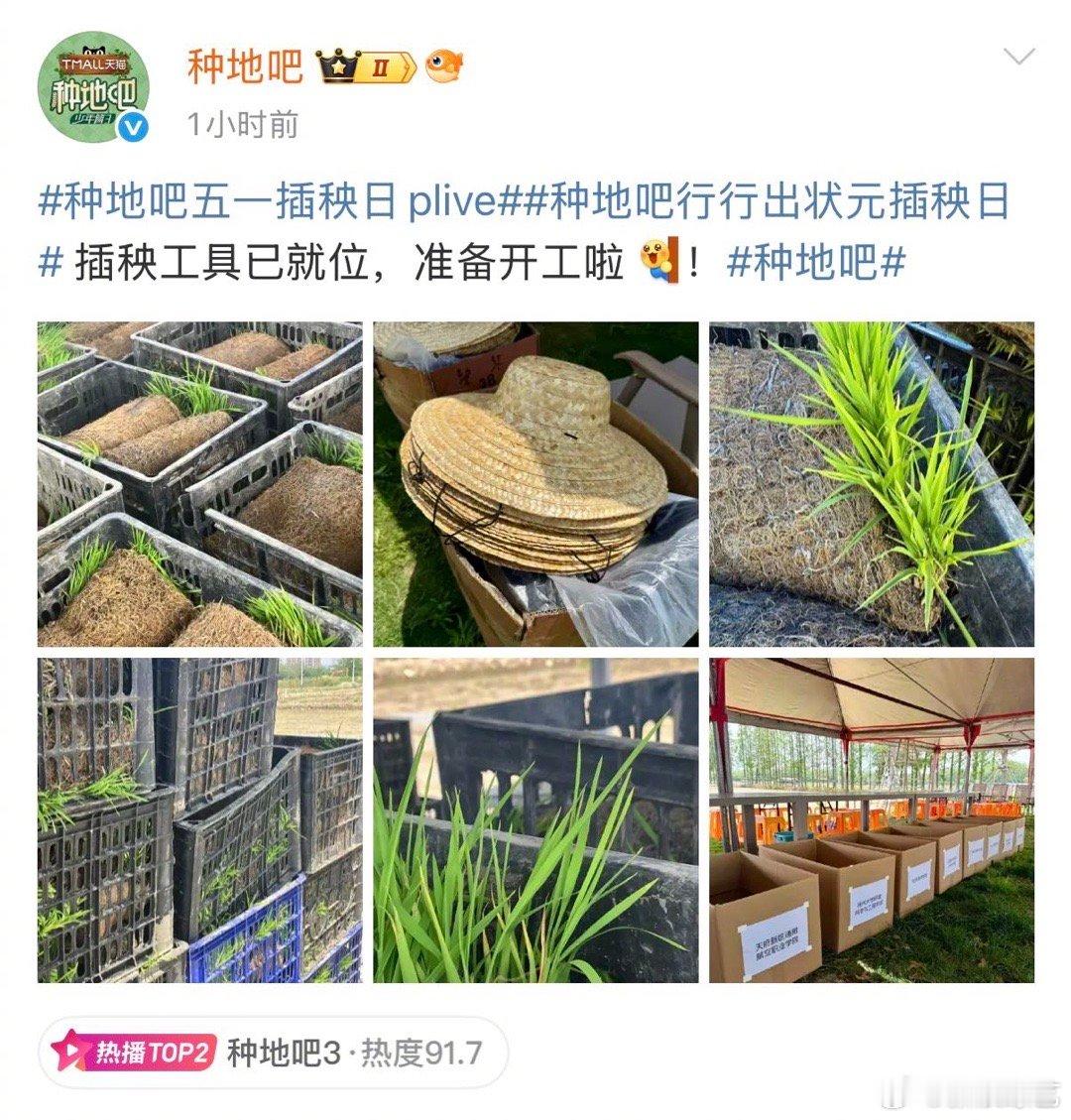 种地吧五一插秧日plive 后陡门来了一群能干的朋友！plive实时汇报插秧日进