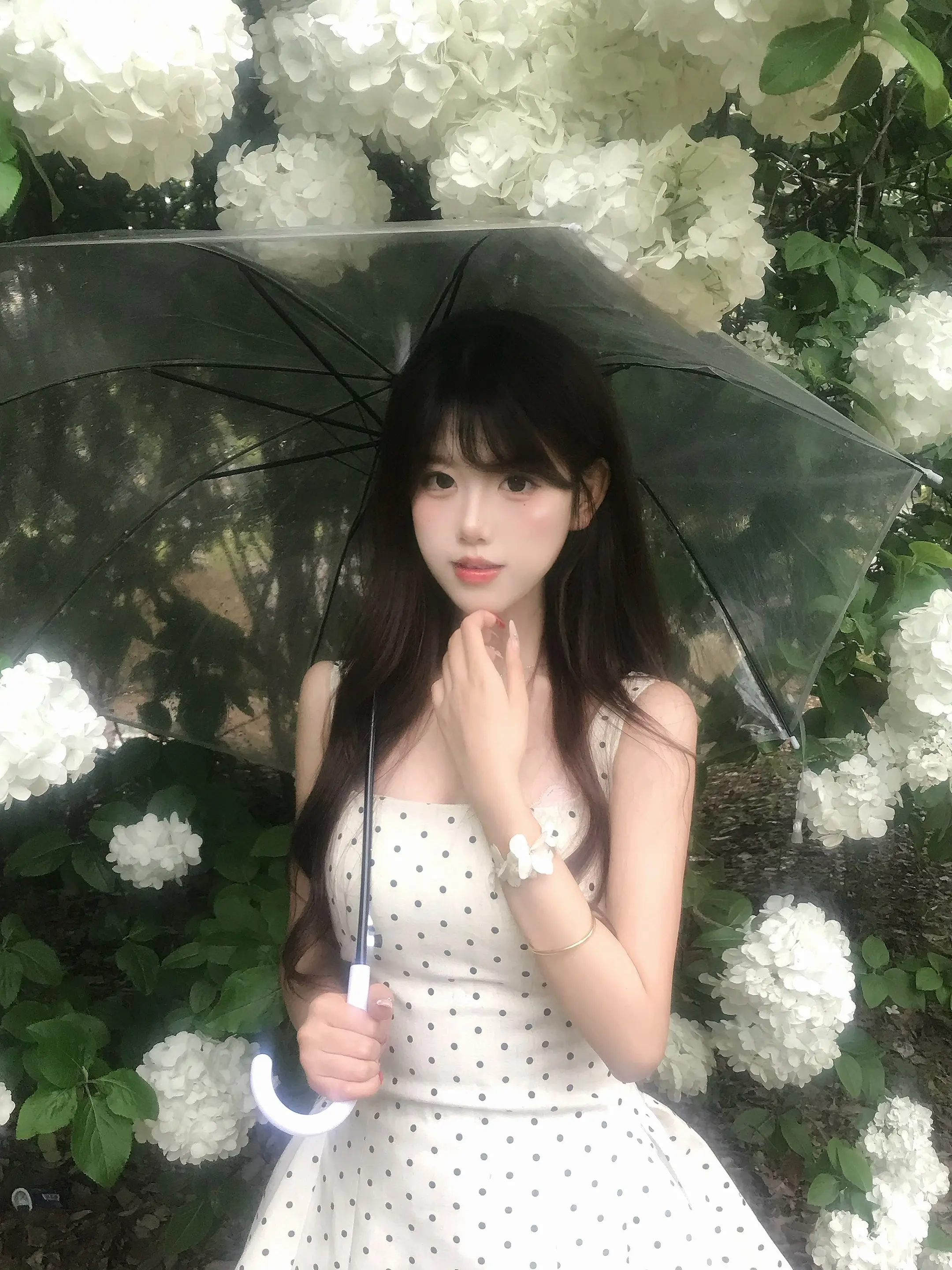 我会陪你度过生命中整个潮湿的雨季