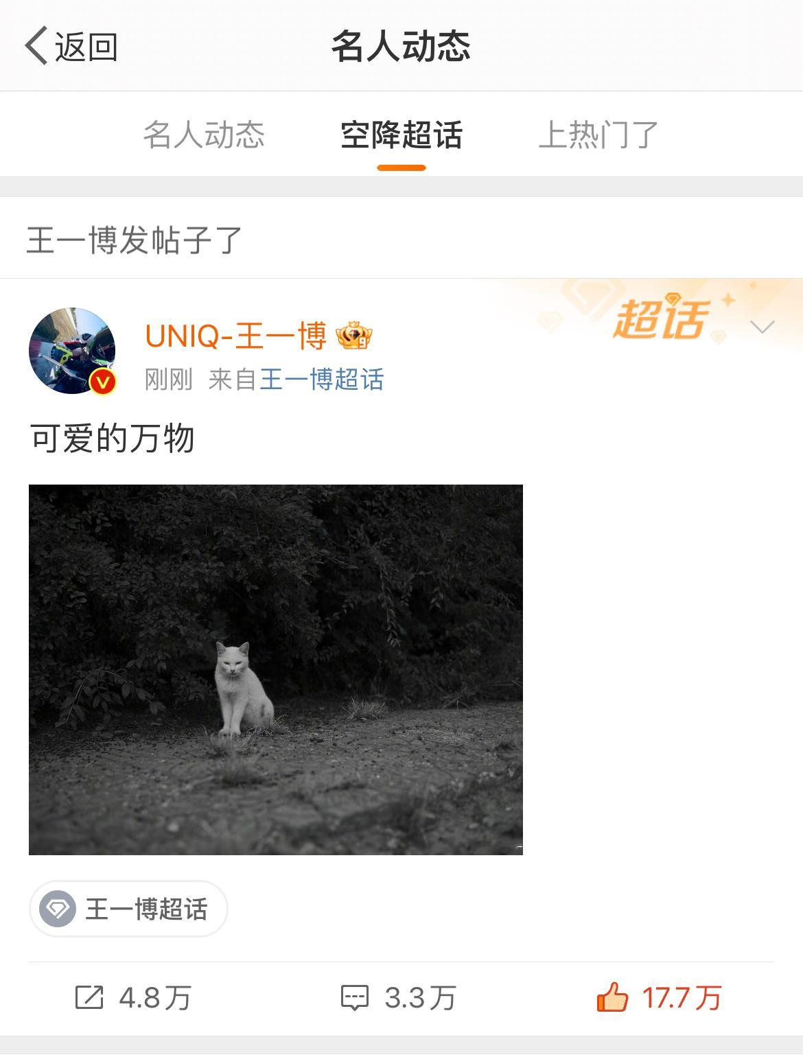 说着是可爱的万物，实际上万物只是一只猫咪，原来这只猫叫万物[拳头]ok，改名说给