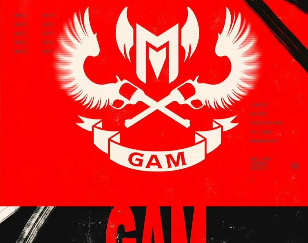 坏消息：越南战队GAM要去MSI啦
好消息：哥哥的TES没有门票

Kight左