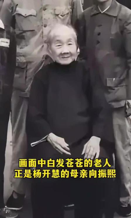 解放后杨开慧母亲跪地痛哭：她不是在哭女儿，是在替那个不敢哭的自己，补一场迟到20