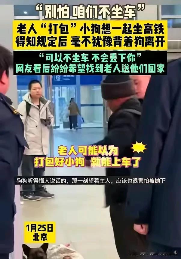 老人背狗离开 一人一狗感动了无数网友！

老实讲，如果换作是你我，此刻我们将会怎