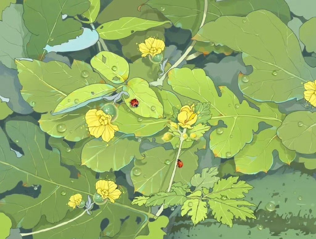 “野莲、清池，蔓草、夏深。” 