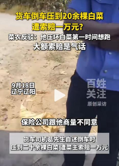 辽阳司机压坏20余棵白菜被索赔一万？双方僵持4小时，最终司机赔偿了1300元。
