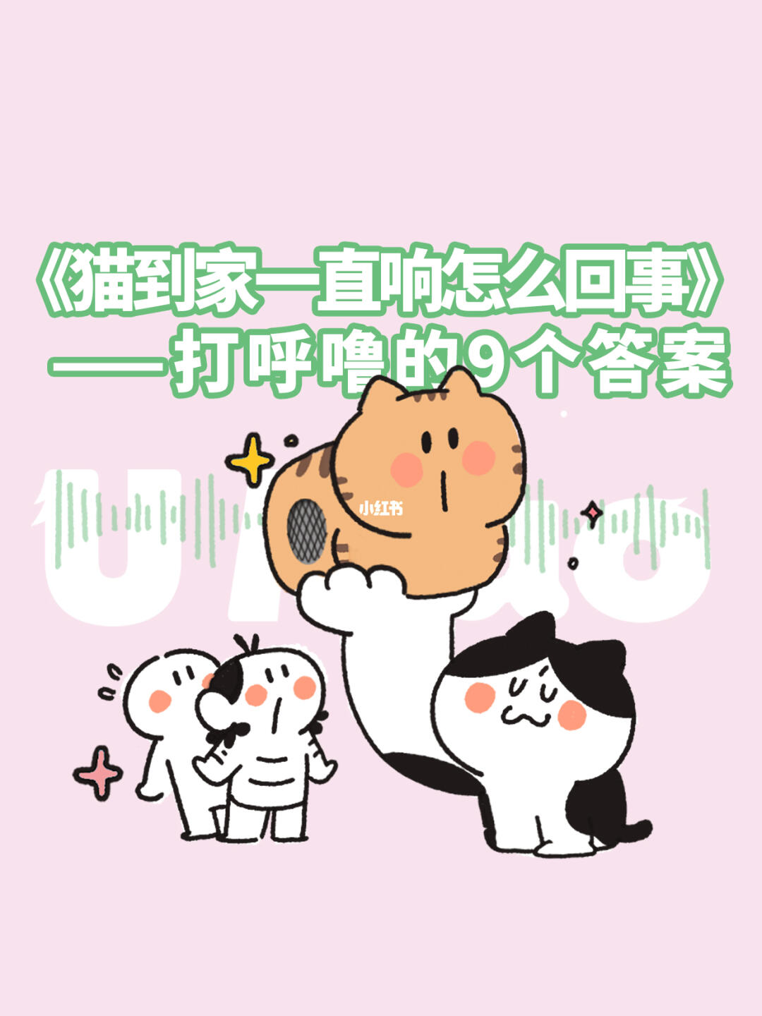 《新猫到家一直响怎么回事？》