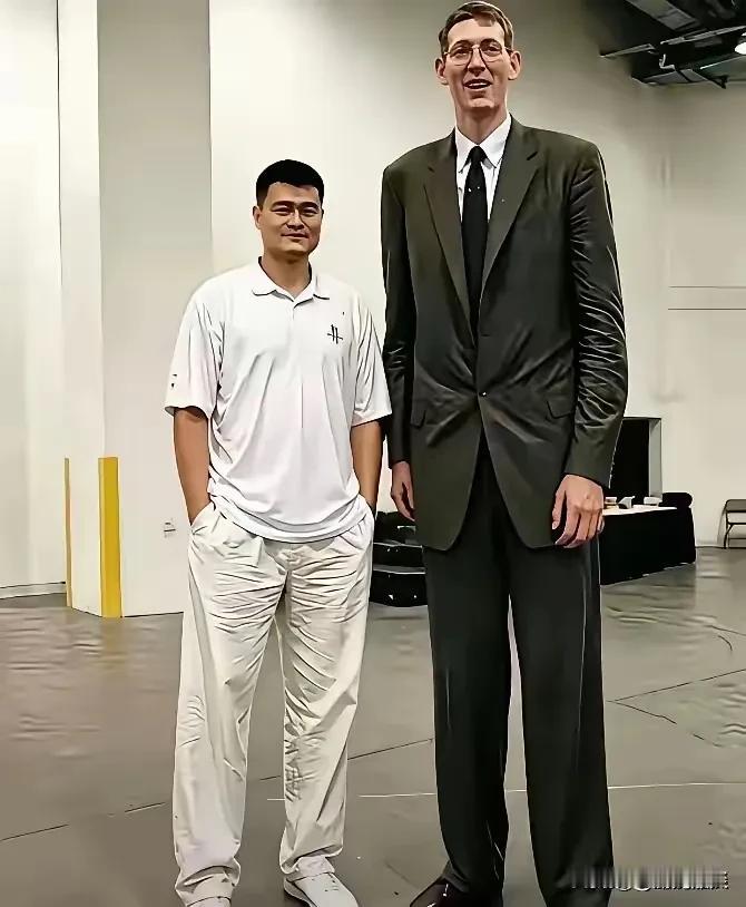 如果把身高一米七的自己塞入这张合照该是多么的滑稽。被奉为高人的姚明甘愿充当绿叶恐