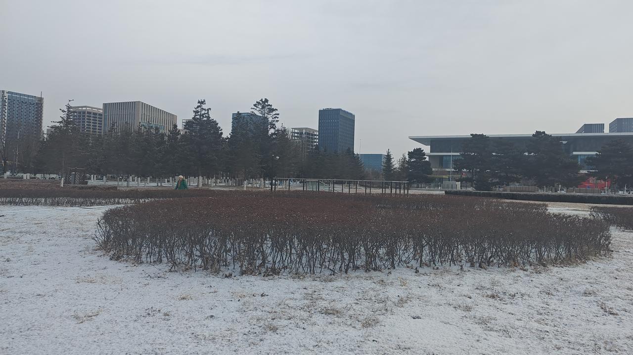 12月4日沈阳天气：
沈阳地区降雪已然结束。今日07时至10时，降雪极为微弱，平