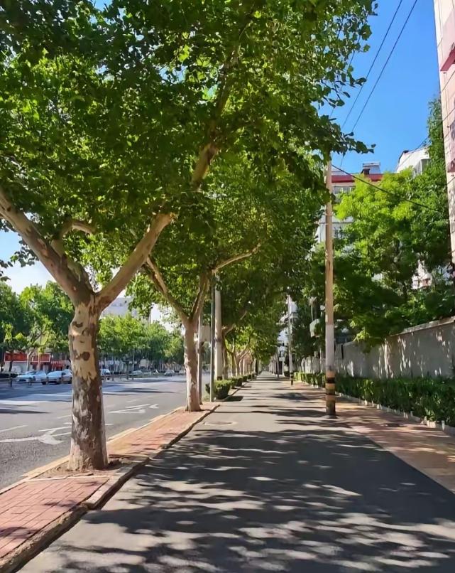 提前通知，提醒大家做好心理准备，8月7号晚上19点43分就正式立秋了。为什么要特