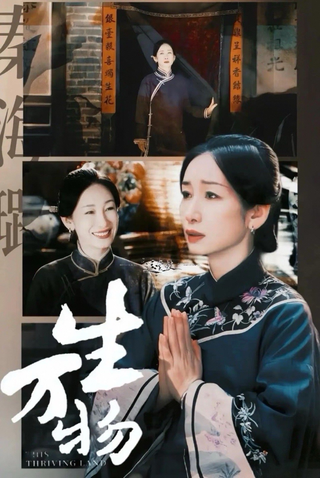 秦海璐寡嫂赛道天花板 秦海璐演寡嫂是真有那股劲儿，不刻意端着，却自带清冷坚韧的气