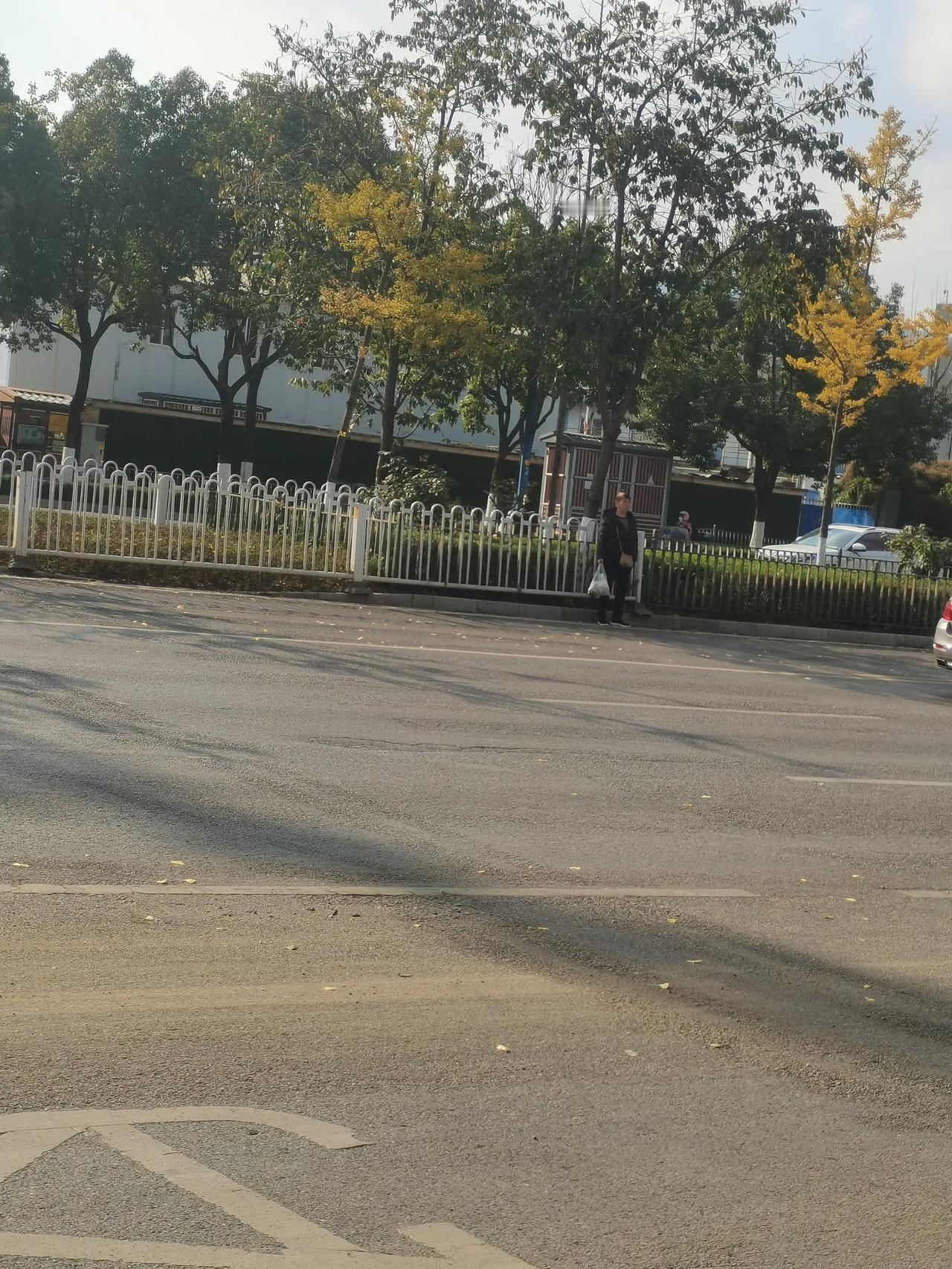 看这个横穿马路的大姐，中间特意装了栏杆的也阻挡不了，边上有天桥，龙头街地铁站口有