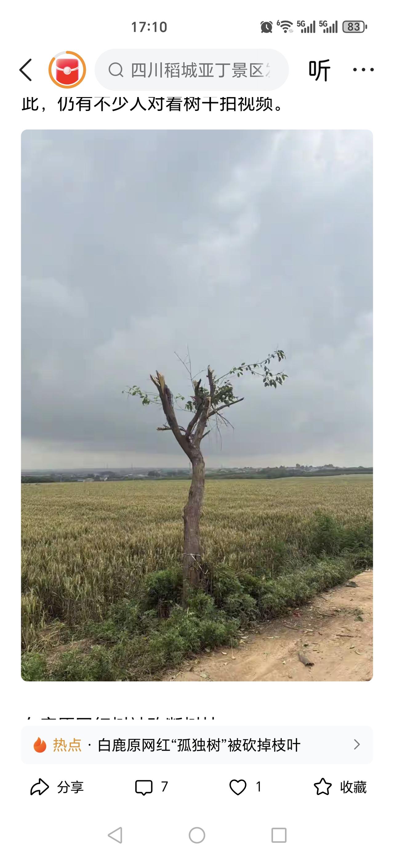白鹿原网红“孤独树”树枝被村民给砍掉了，变成了“秃头”，结果网友不买账，认为当地
