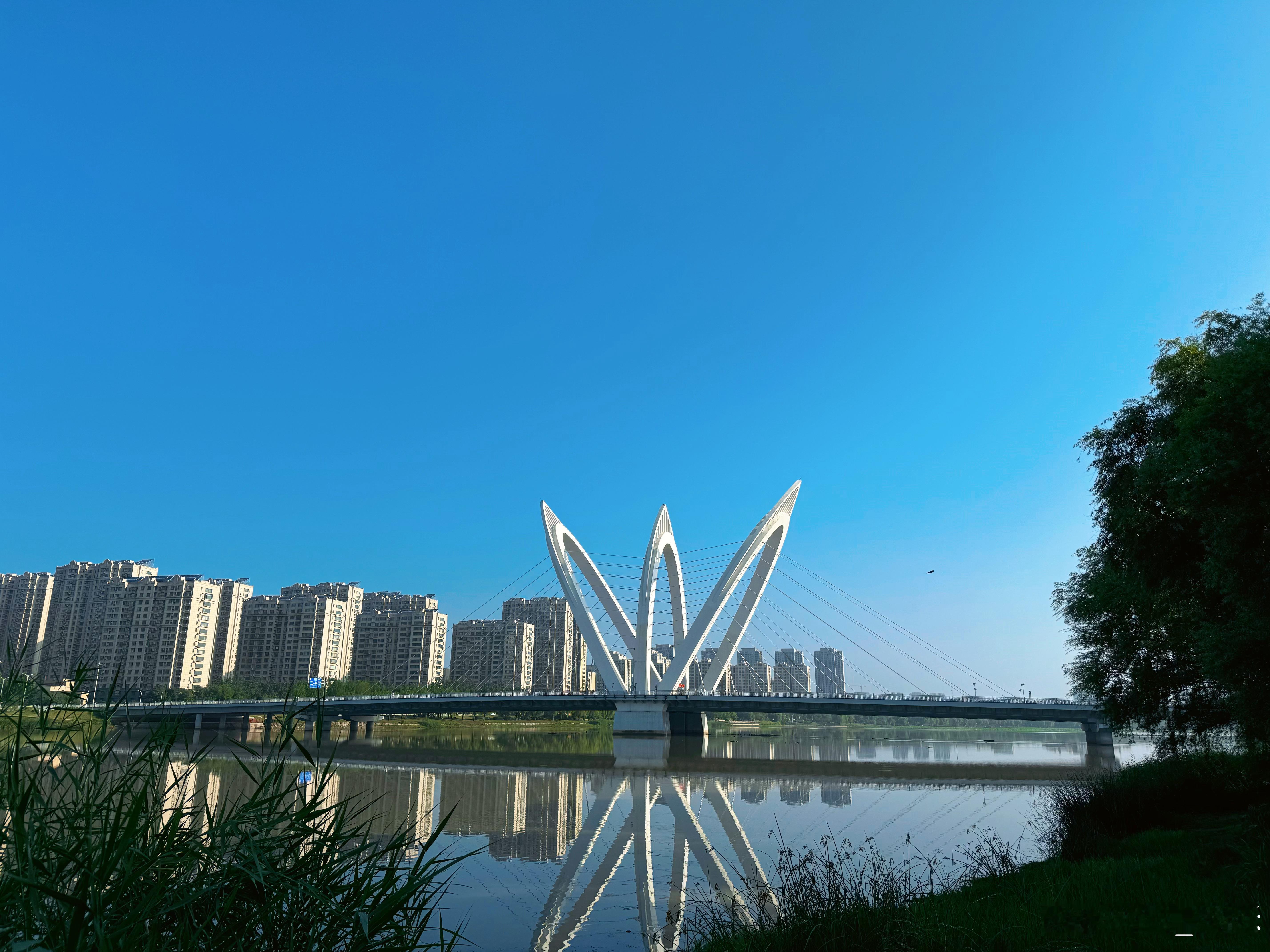 熙笑译颜[超话] 暑假的生活丰富多彩，6点半早起跑步🏃，随便赏个荷花🪷，8点