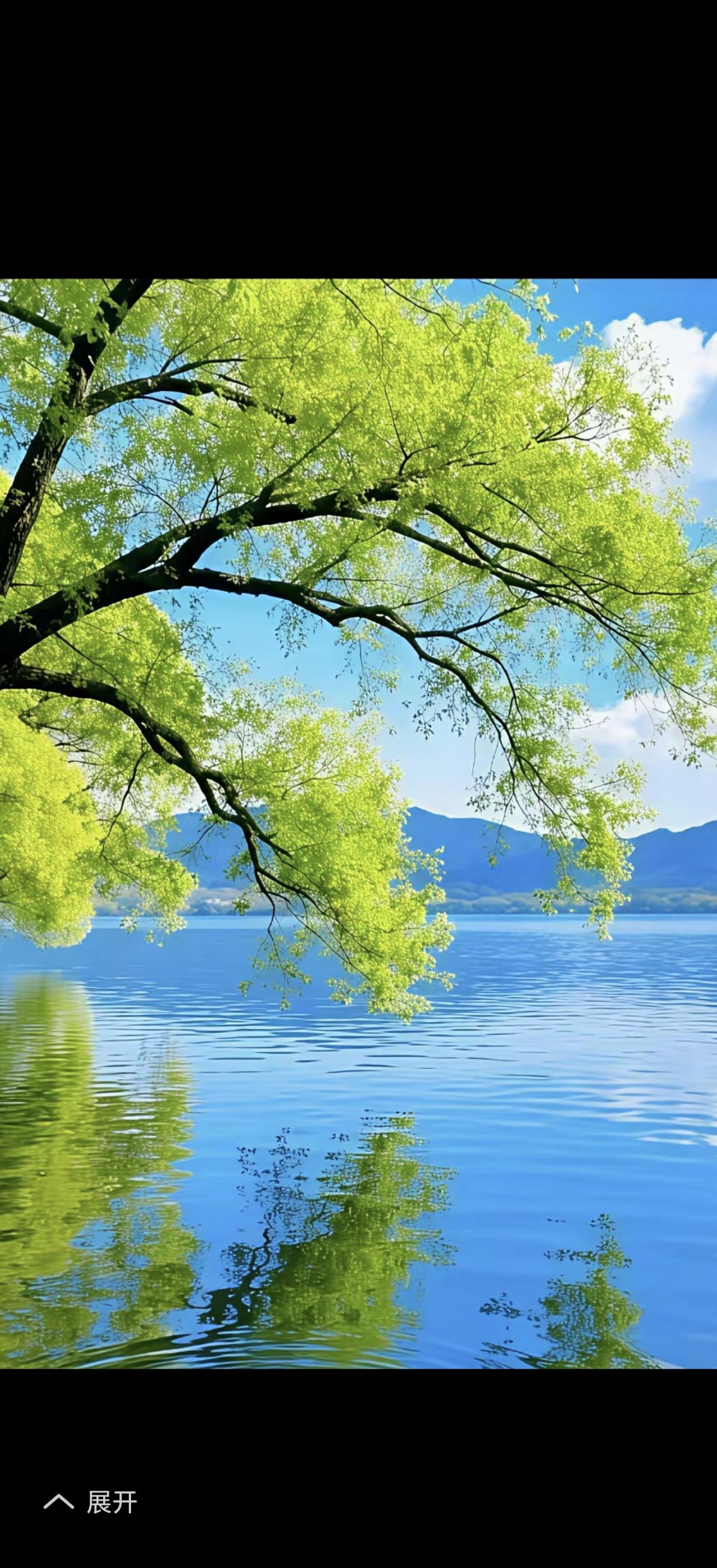 三月和芒种所在的六月，都是让人奋进向上的季节。
三月，暖阳驱散料峭春寒，新芽探头