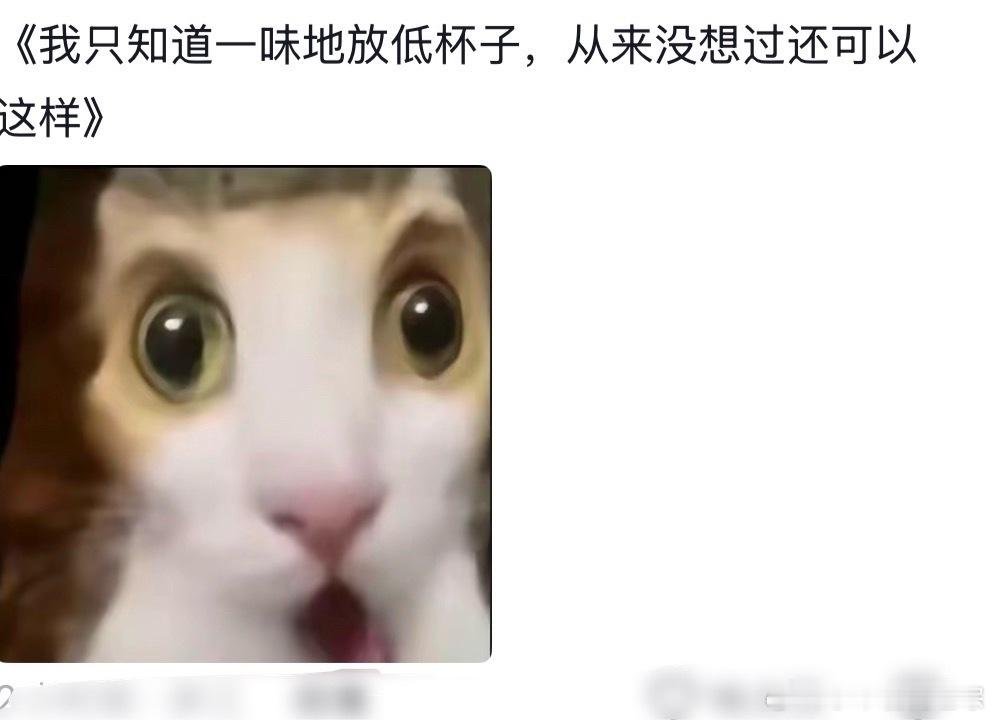丁禹兮托杯底敬酒的手跟着丁禹兮学到了好多人情世故 想到了丁禹兮会放低自己的杯子，