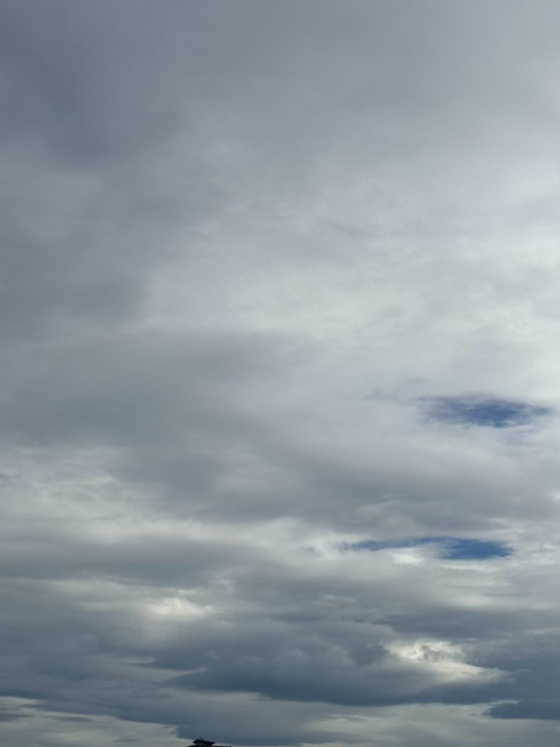 今日停课，台风假。窗外却风平浪静～ 