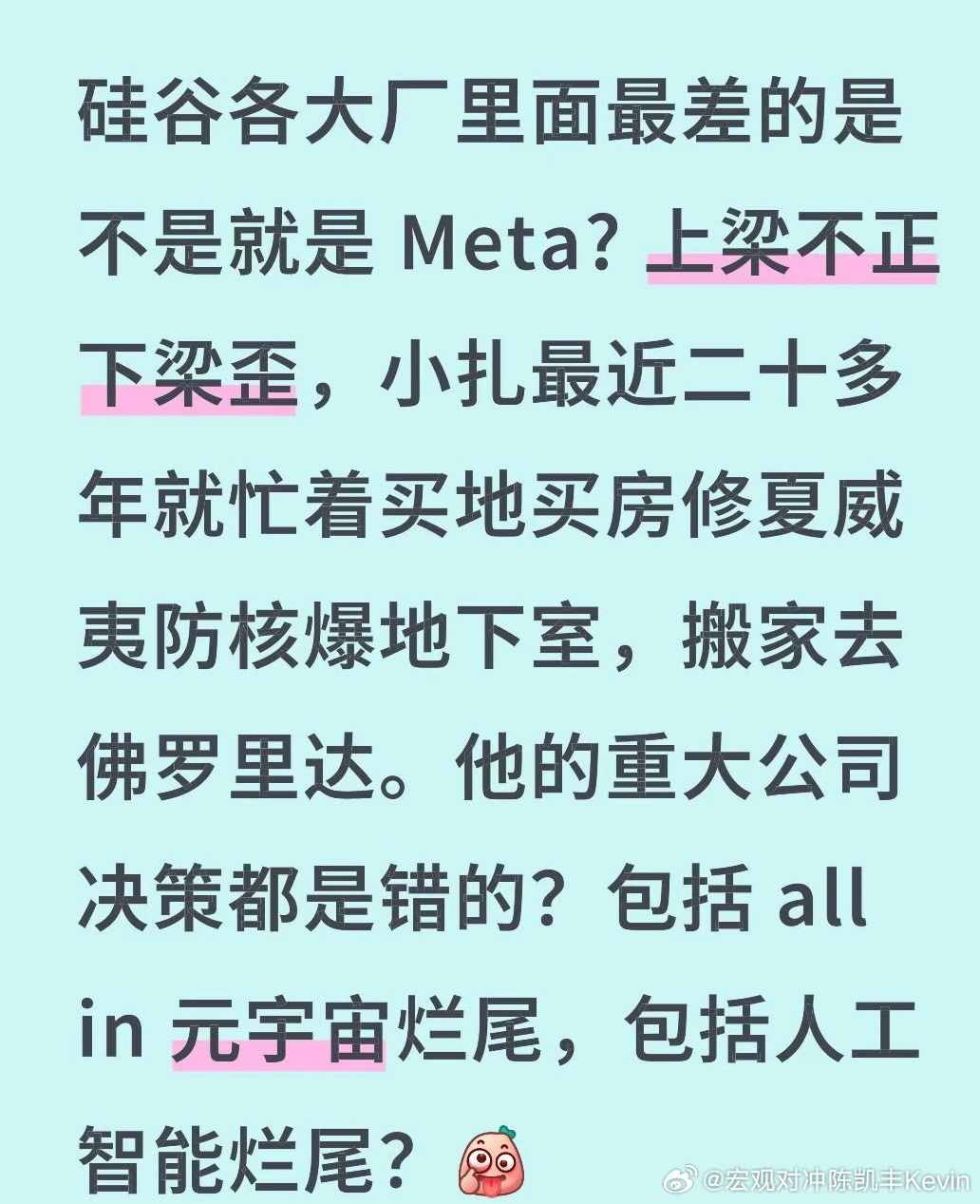 大家觉得对吗？Meta 发展重大决策基本上都是错的，小扎除了到处买房，修豪宅，没