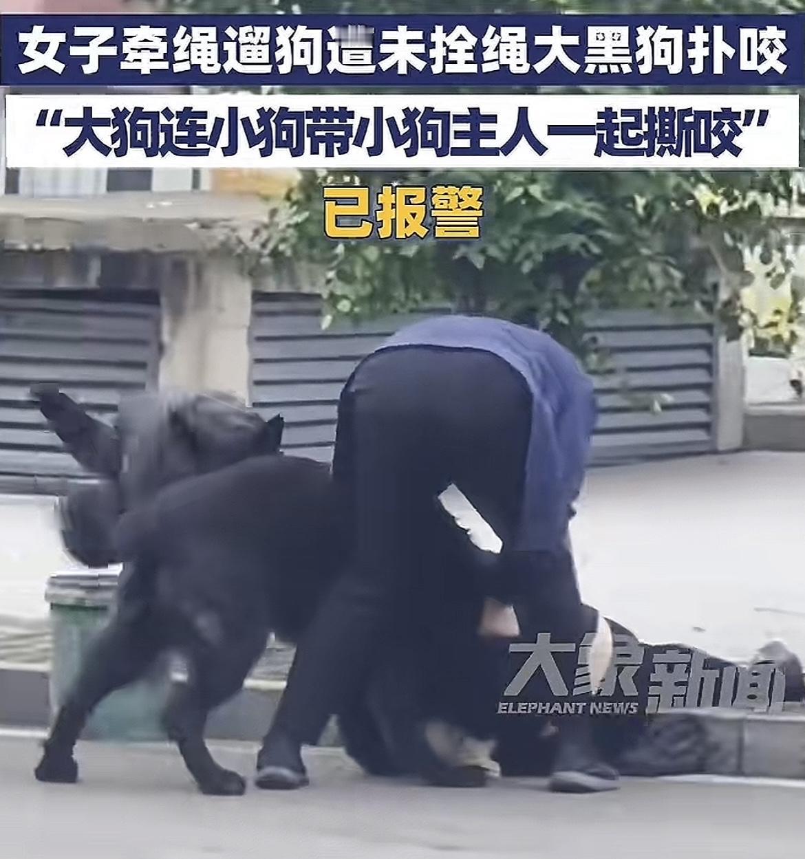 终于知道为什么有的养狗人这么遭人厌烦了，9月22日，山西介休，一女子牵着小狗逛街