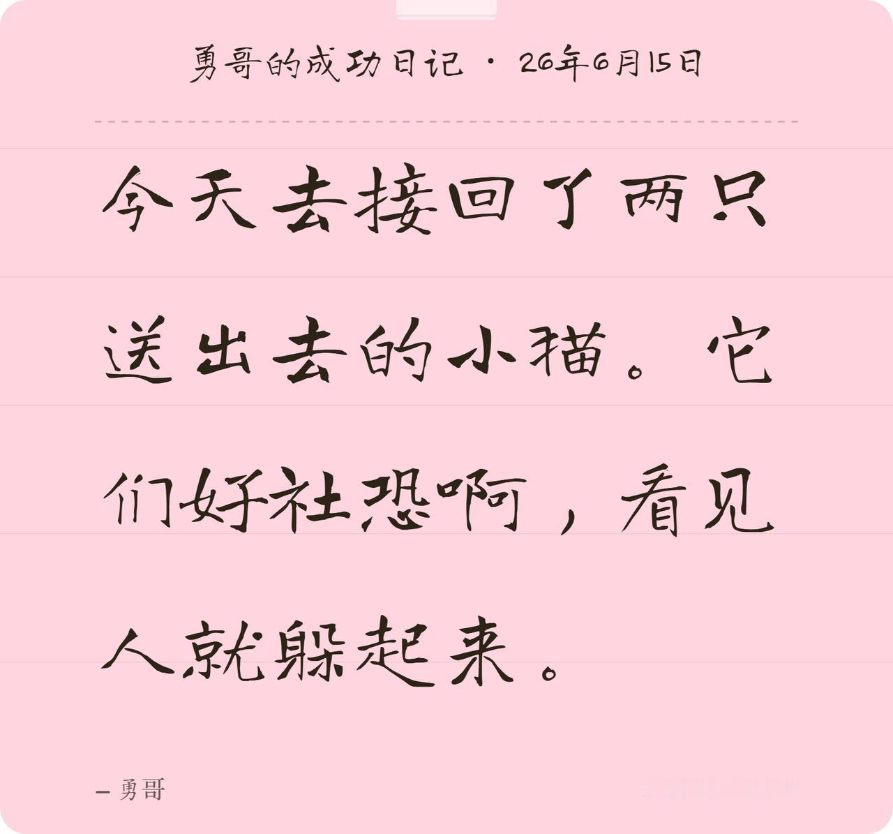 送出去的小猫生活在小家庭，我们家好多猫生活在大家庭。看上去小家庭的猫比较社恐哦。