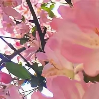 远山像是打翻了砚台，泼洒出满纸的赭黄、绛紫与沉红。那颜色不是春日娇嫩的模样，而是