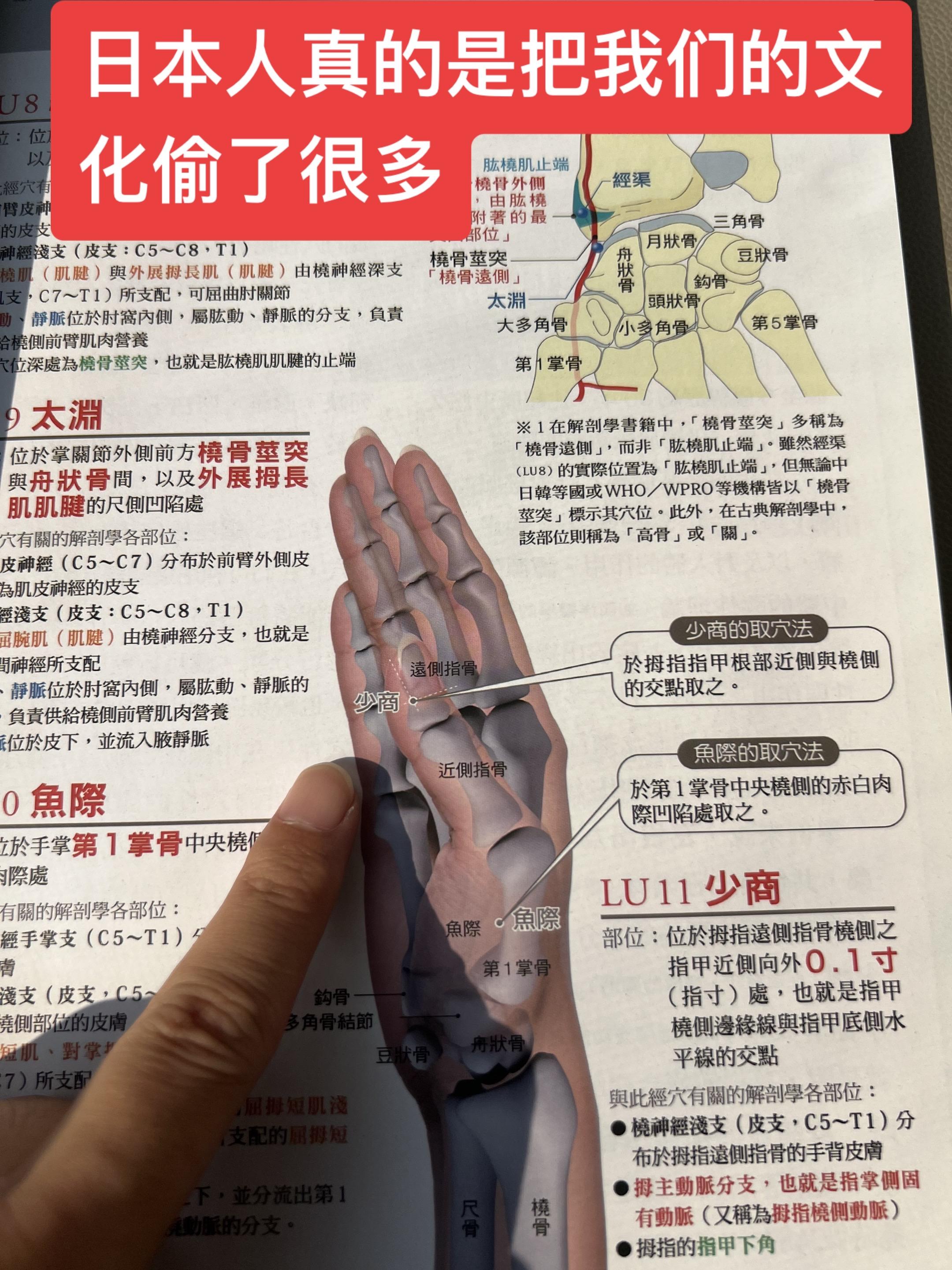 经络穴位 穴位 穴位养生 健康 穴位按摩