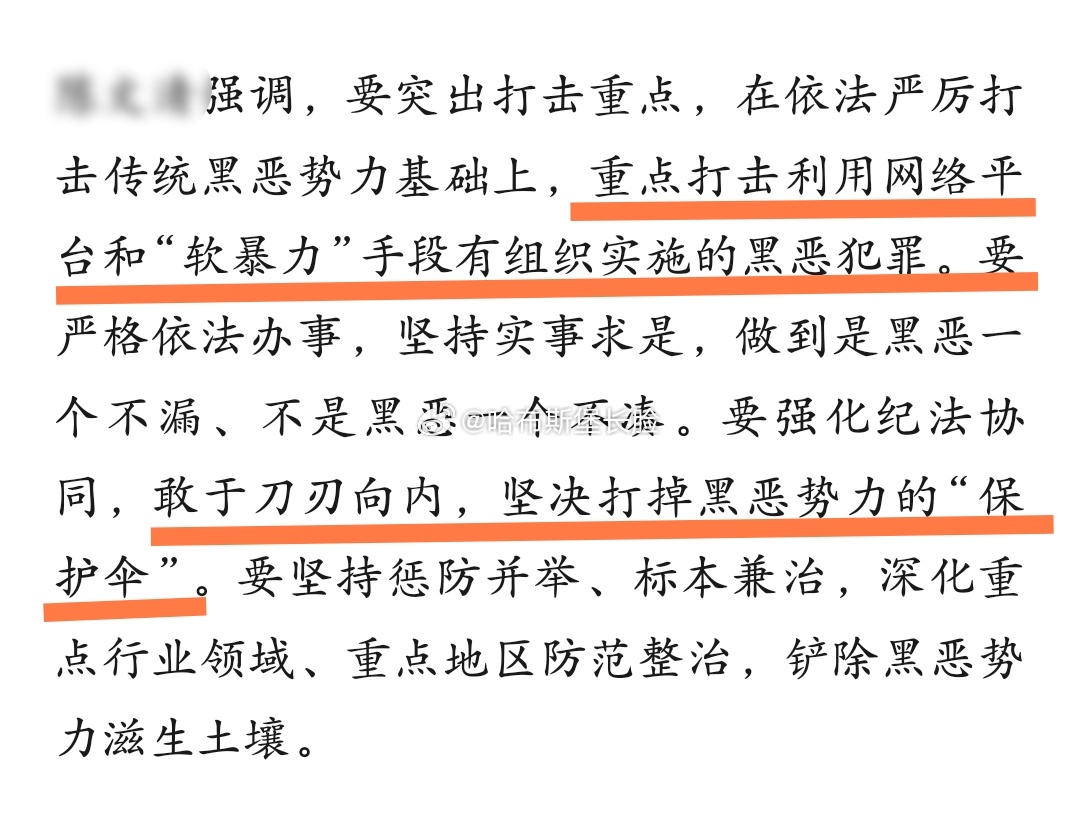 划重点重点打击利用网络平台的黑恶犯罪我国将开展深化扫黑除恶专项斗争