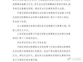 中足联连发两张罚单，海港申花外援被停赛三场，都是报复动作网页链接