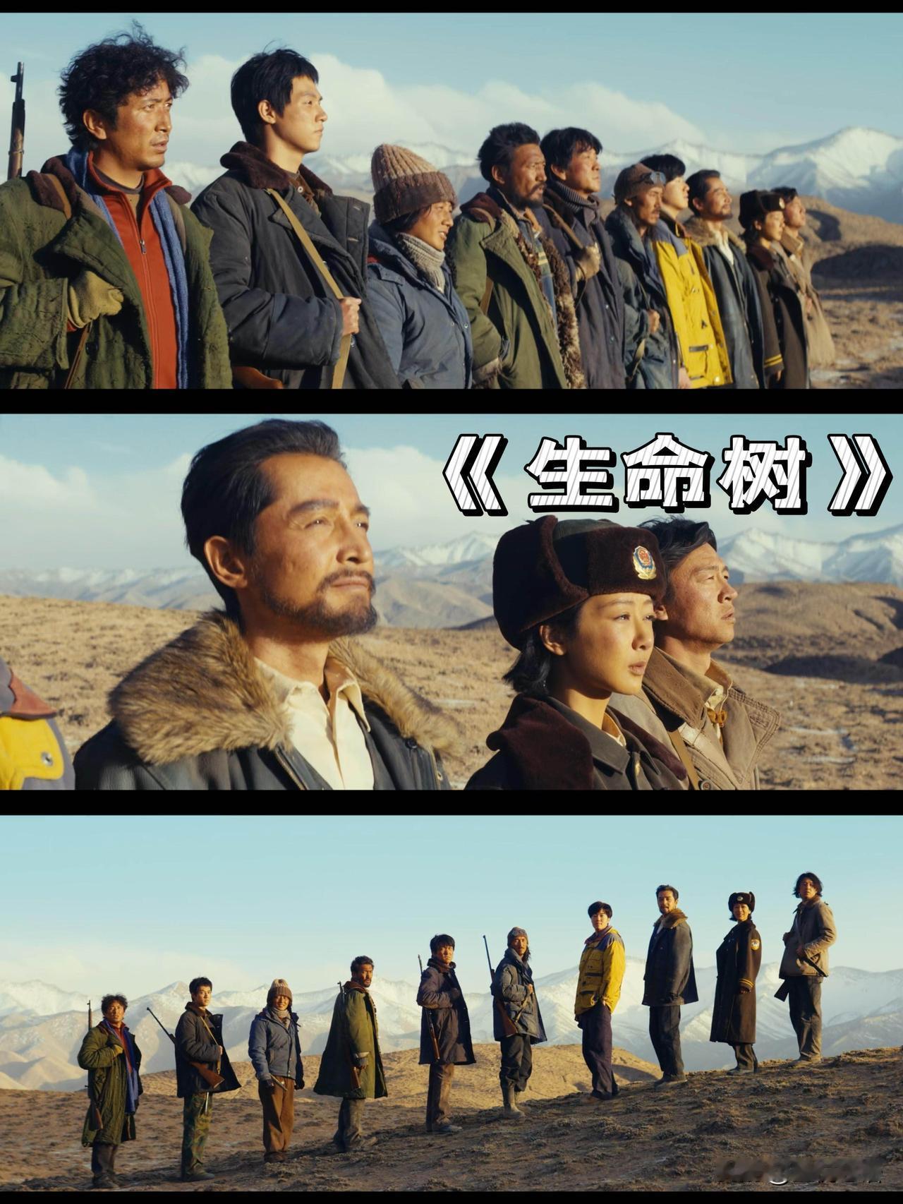 看完《生命树》，我整个人彻底走不出来了！
这才是国产剧该有的良心天花板，没有狗血