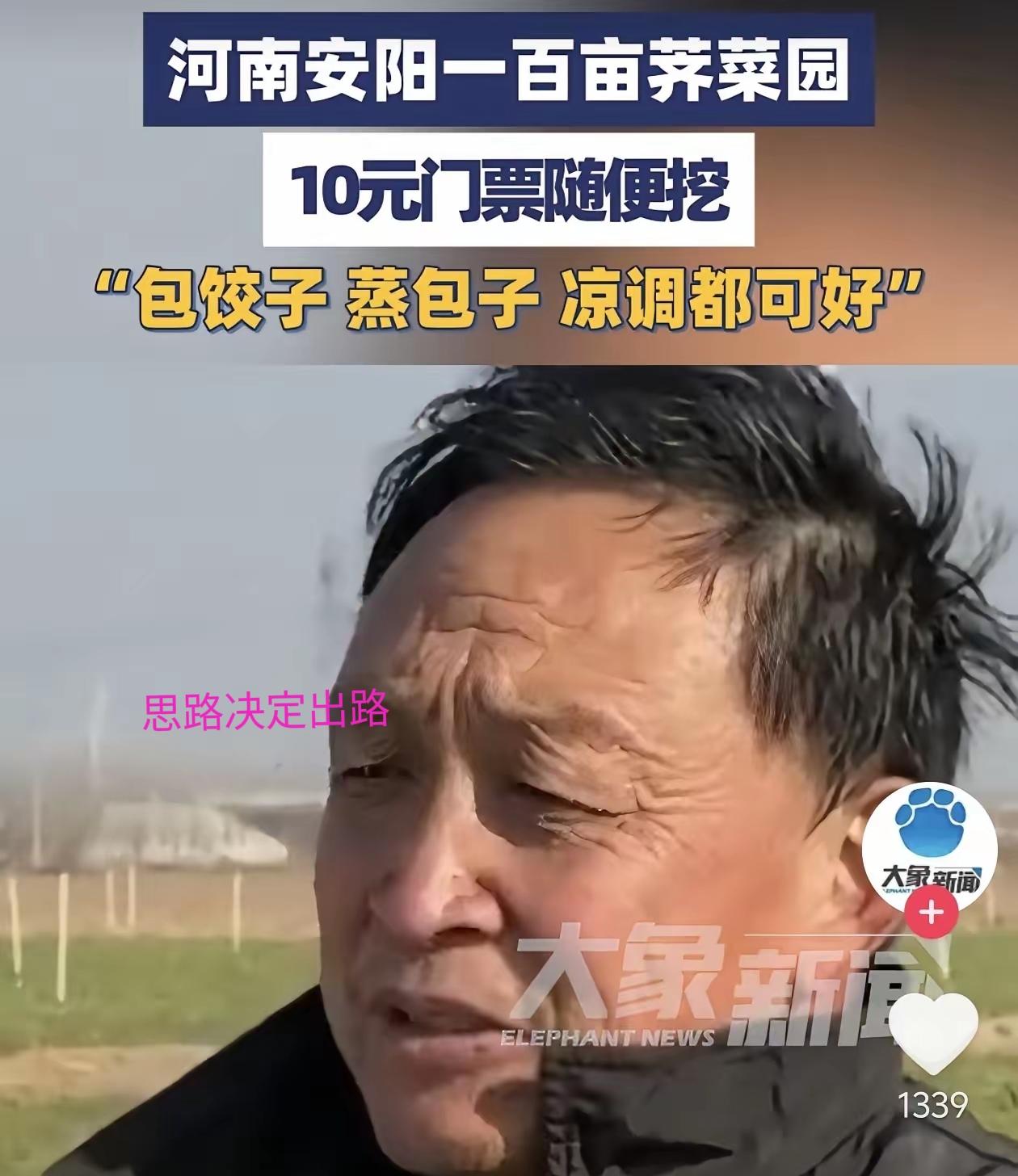 方法总比困难多！

河南安阳，一男子种了100多亩荠菜，由于各种原因，销路不大好