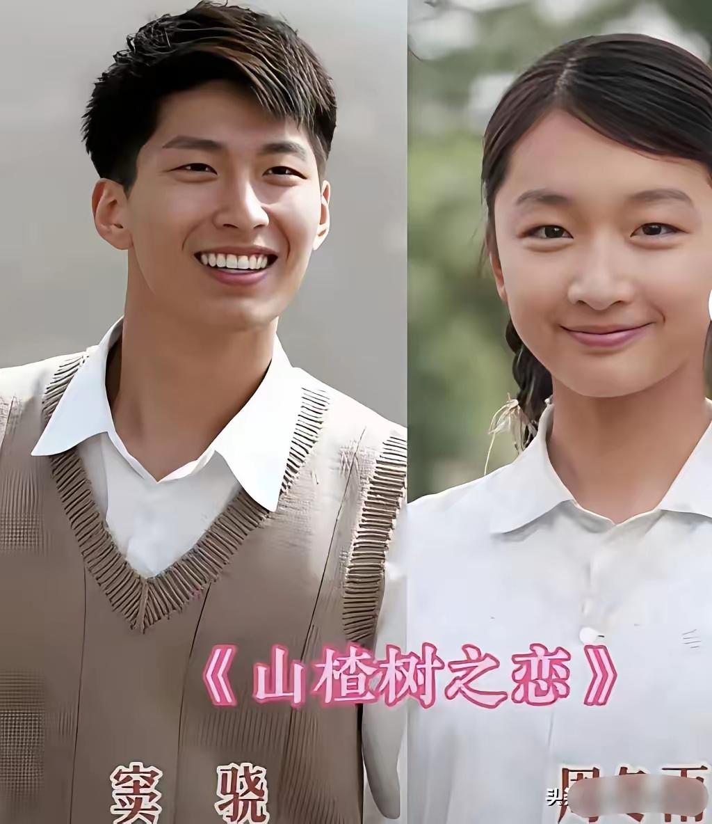出演《山楂树之恋》的窦骁周冬雨
出演《主角》的窦骁刘浩存
一棵山楂树，一段意难平