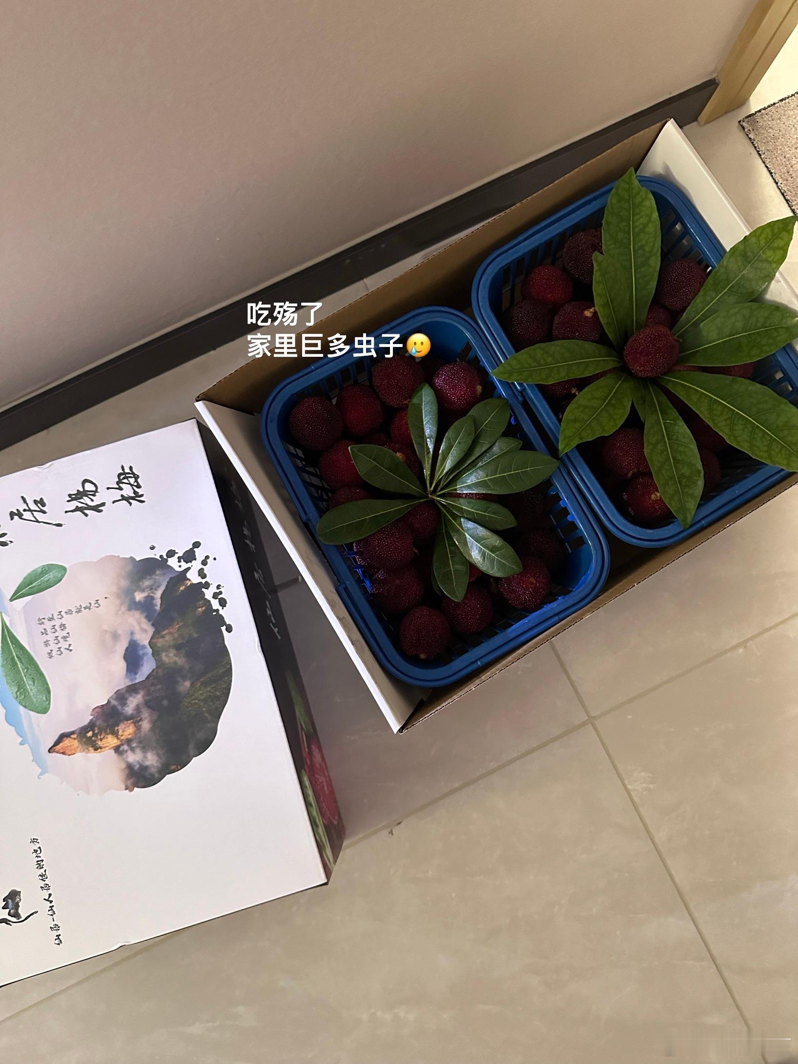 毛坯朋友圈毛坯生活七月 请对我好一点🫰🏻[给你小心心] ​​​