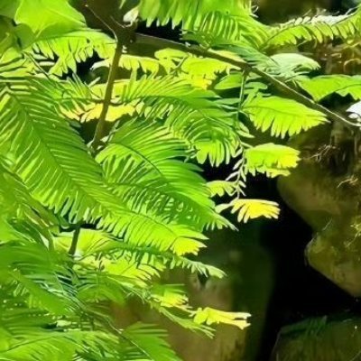 阳光信用 🌿每日一善 🌿阳光信用 人生无常，最重要的不是你处的位置，而是你所