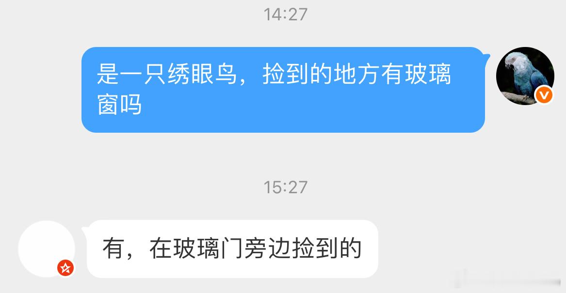 撞玻璃的【暗绿绣眼鸟】看样子撞得不轻一定很疼吧！小天才给它放在花丛里了，希望等会