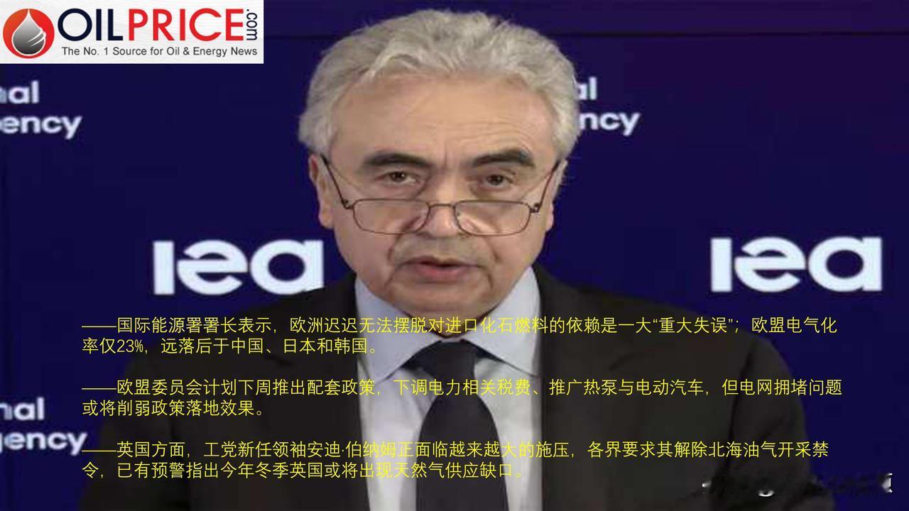 国际能源署署长批评欧洲电气化推进缓慢，能源危机持续加剧



国际能源署（IEA