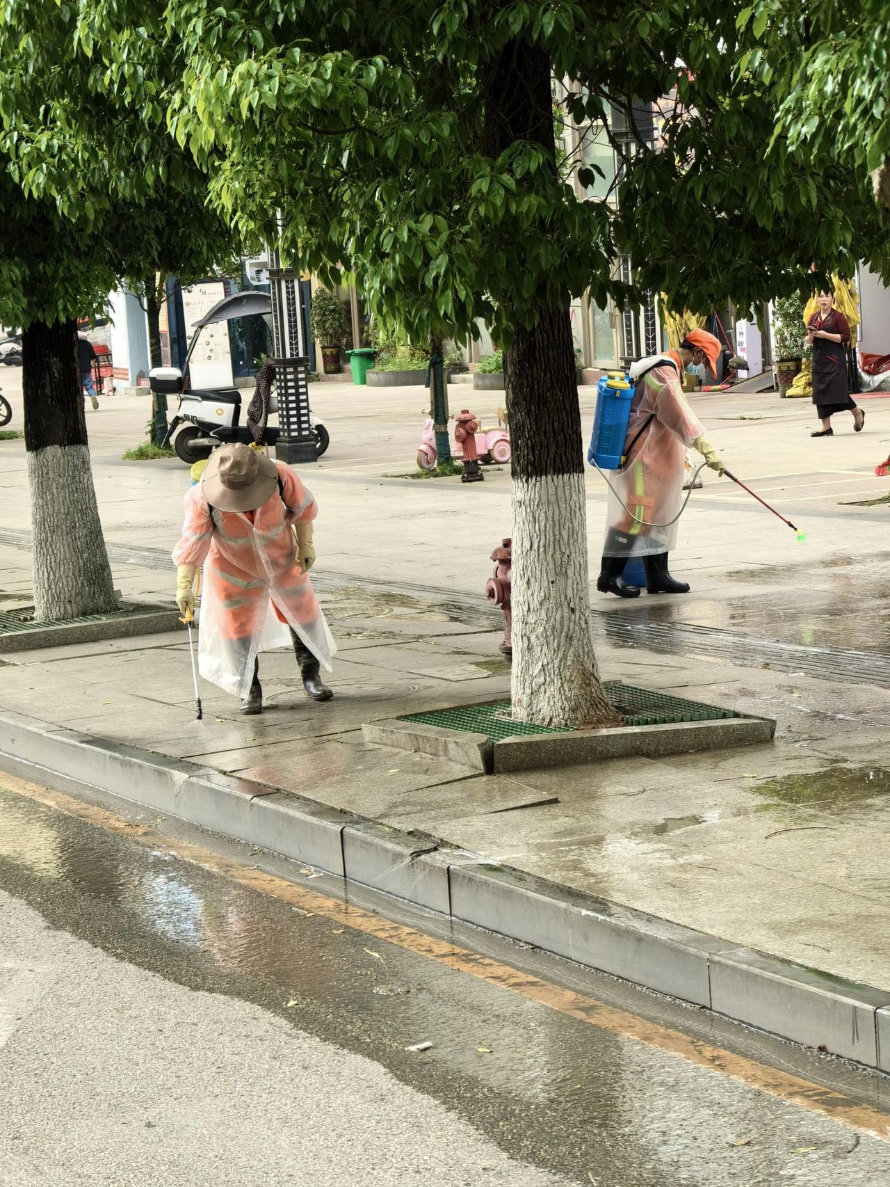 戳这里，一起来集邮>