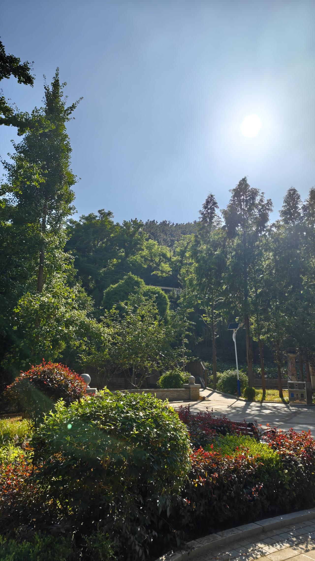 7月6日 周一🧮总结：学校作业0分钟；家庭学习内容71分钟；追剧+动漫等91分