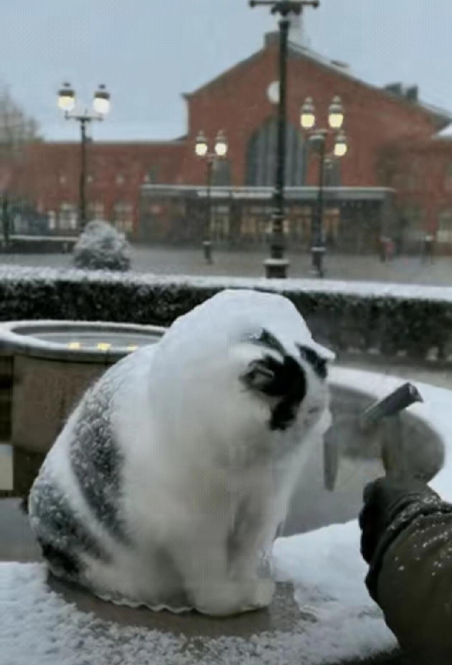 太可怜了！这天一位小哥哥下班回家，当他路过一个广场的时候，看到了无比凄惨的一幕，