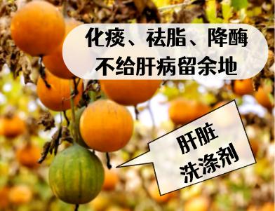 这个瓜堪称“肝脏洗涤剂”！化痰、祛脂、降酶，不给肝病“留余地”！
 
肝为“将军