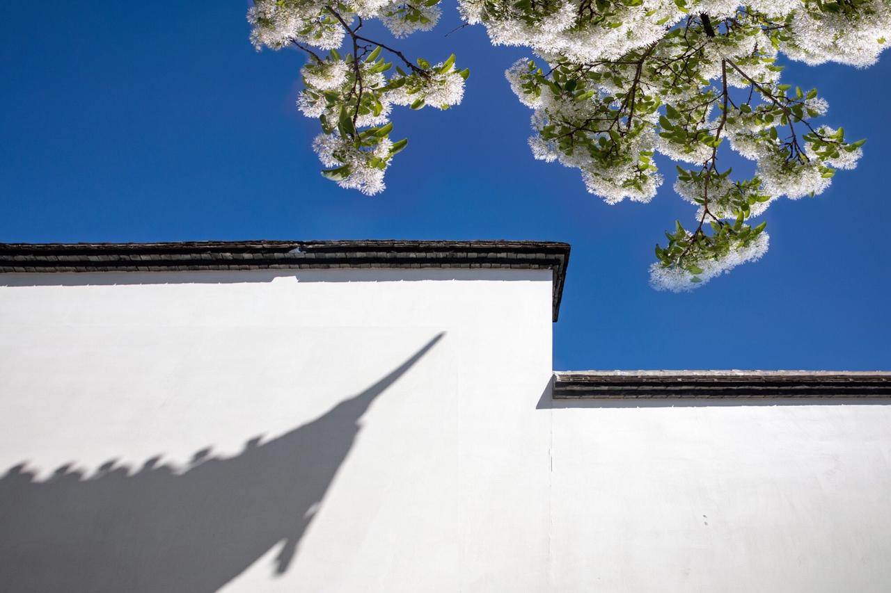 【实践课堂：定格百年流苏的芳华】
省老年大学本学期第一场户外实践课！
地点：三坊