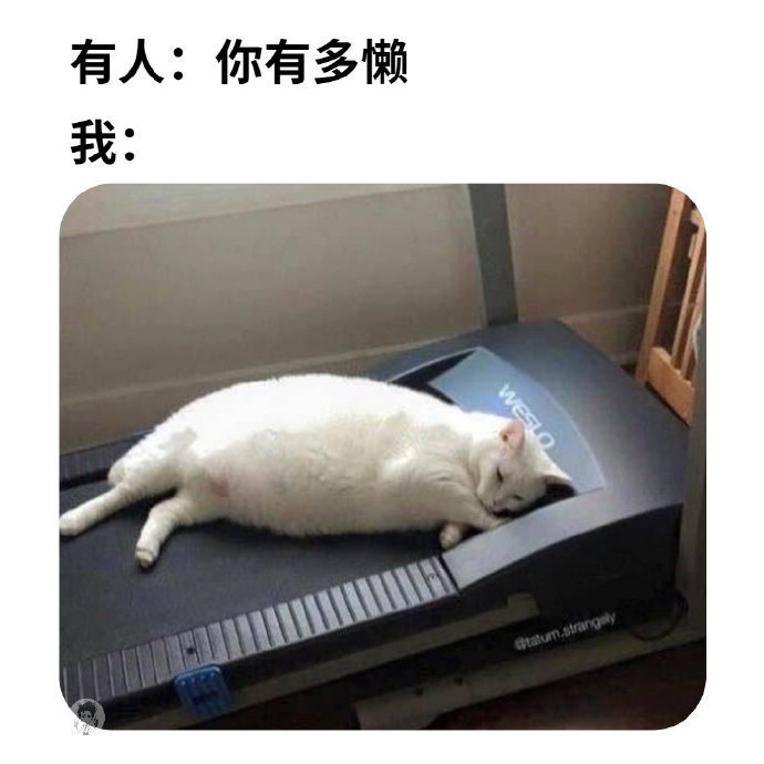 当别人试图问我有多懒 