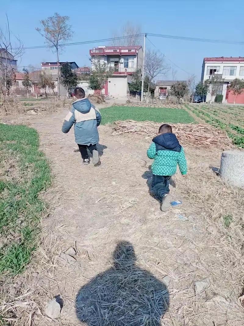 “悲剧还是发生了！”56岁女子，带着3岁和2岁的孙子上山挖红薯，然后让2岁的孙子