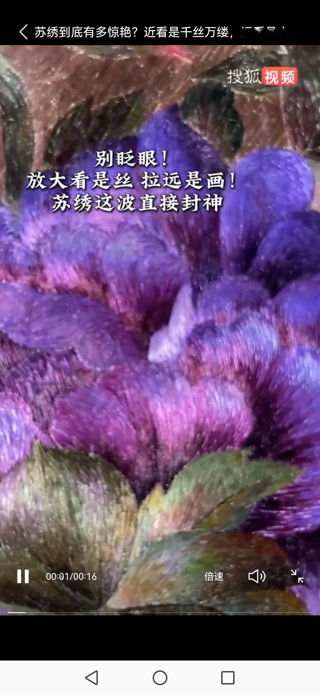 苏绣到底有多惊艳？近看是千丝万缕，远看是人间绝色
 
指尖捻起的，是比发丝还细的