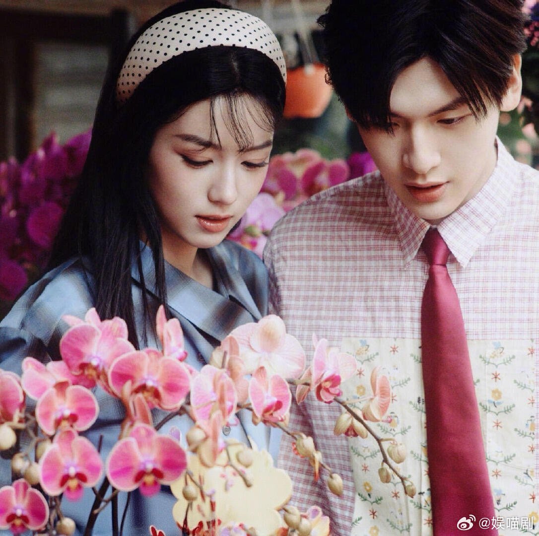 你好1983口碑发酵数据只是一时的，这种全员演技在线、逻辑在线的良心剧，后劲才大