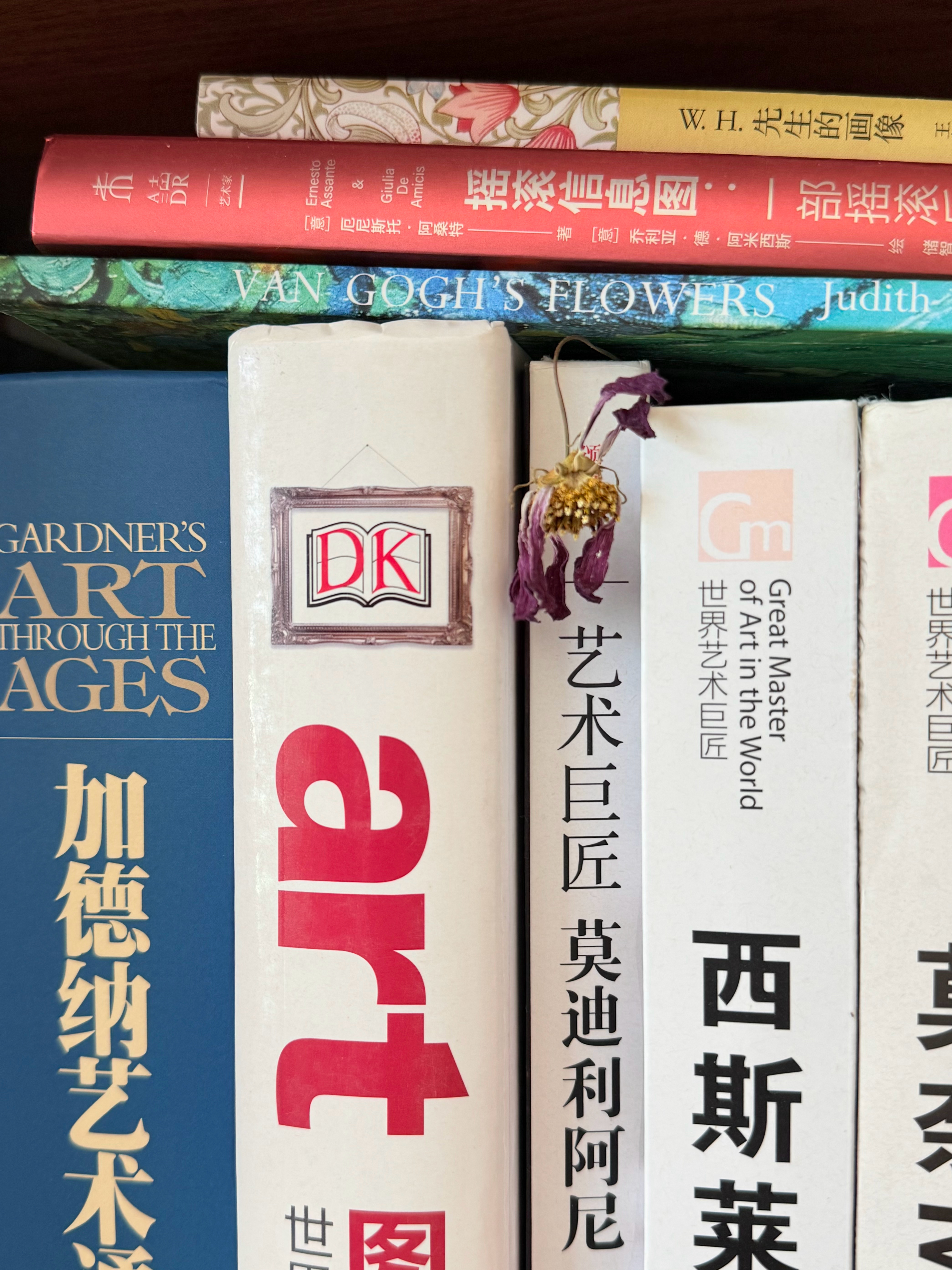 有朵秋樱。何时放的完全没印象。 