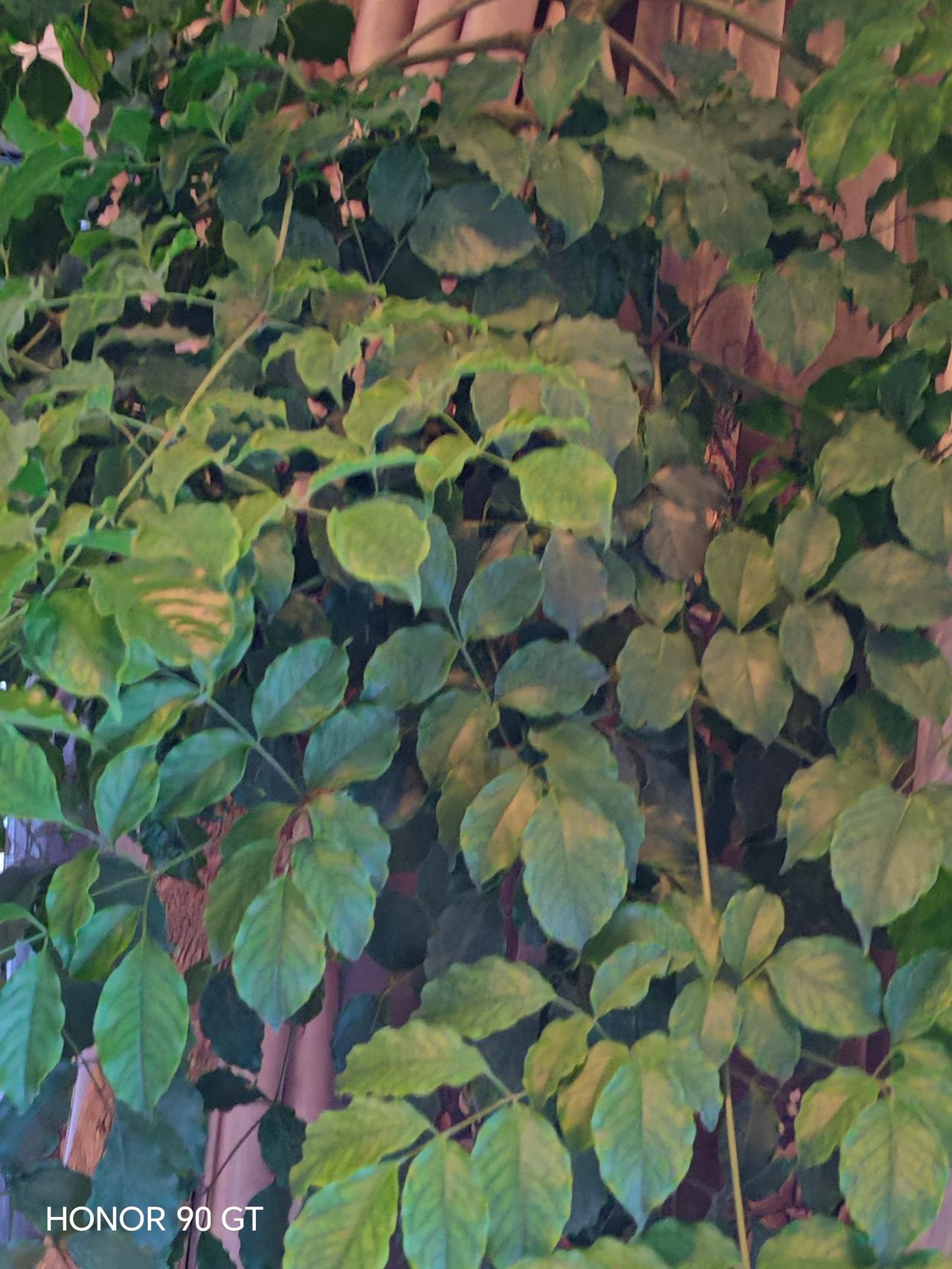 花好月圆，心中梦圆。
快乐每一天。