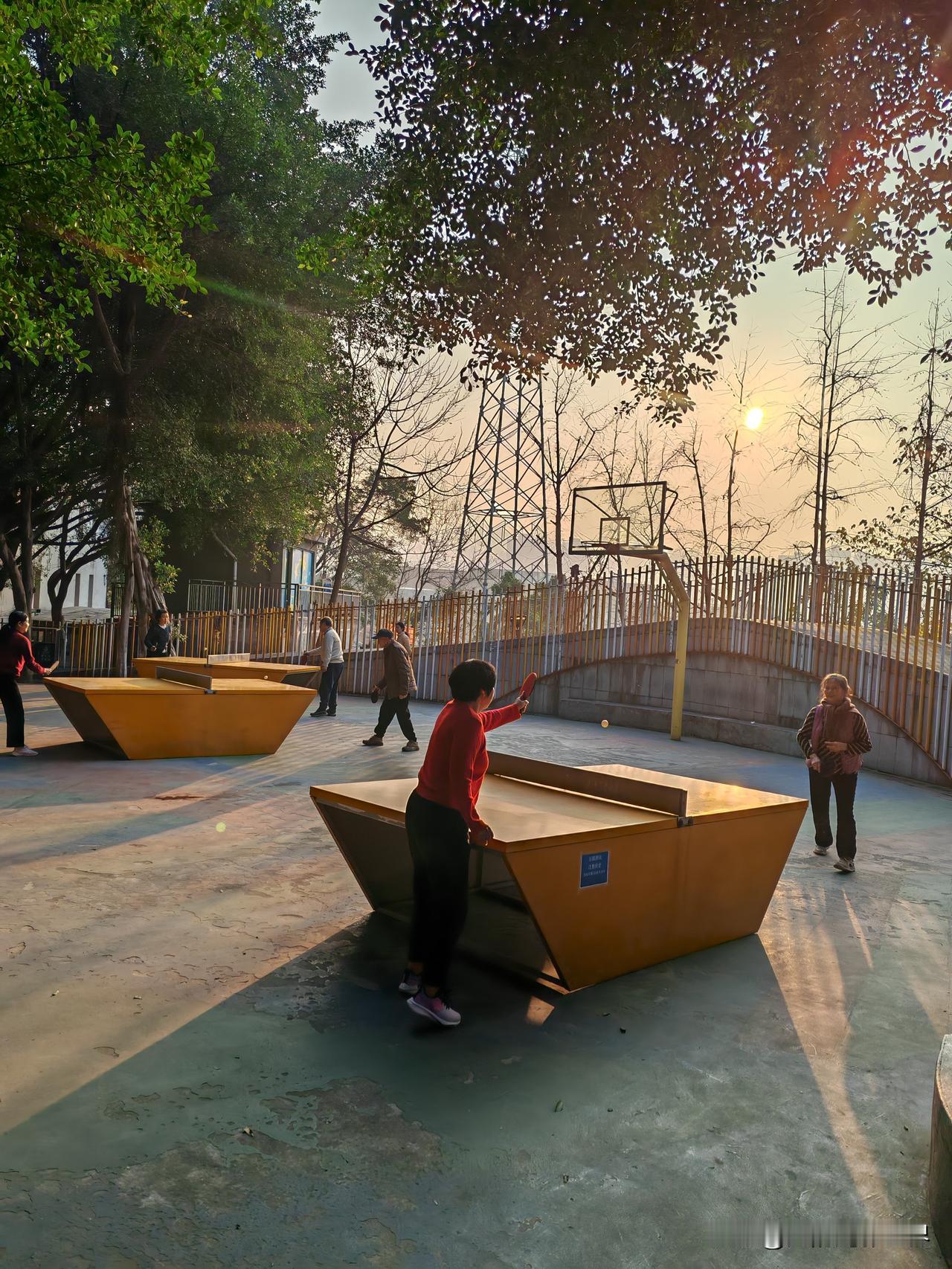 今日运动打卡 今日打卡“坝坝乒乓球”，在社区体育公园里坝坝乒乓球运动可是相当有氛