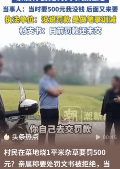 “离大谱！”河南固始，女子因患恶性肿瘤，在家养病，为了节省开支，便种了菜自给自足